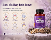 CANTICER®