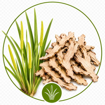 Traditional herb image