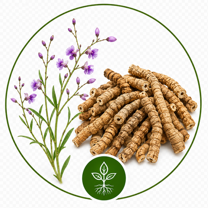 Traditional herb image