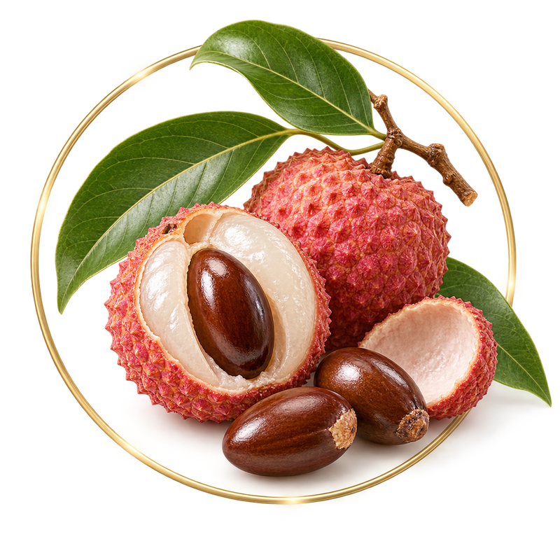 Lychee Seed