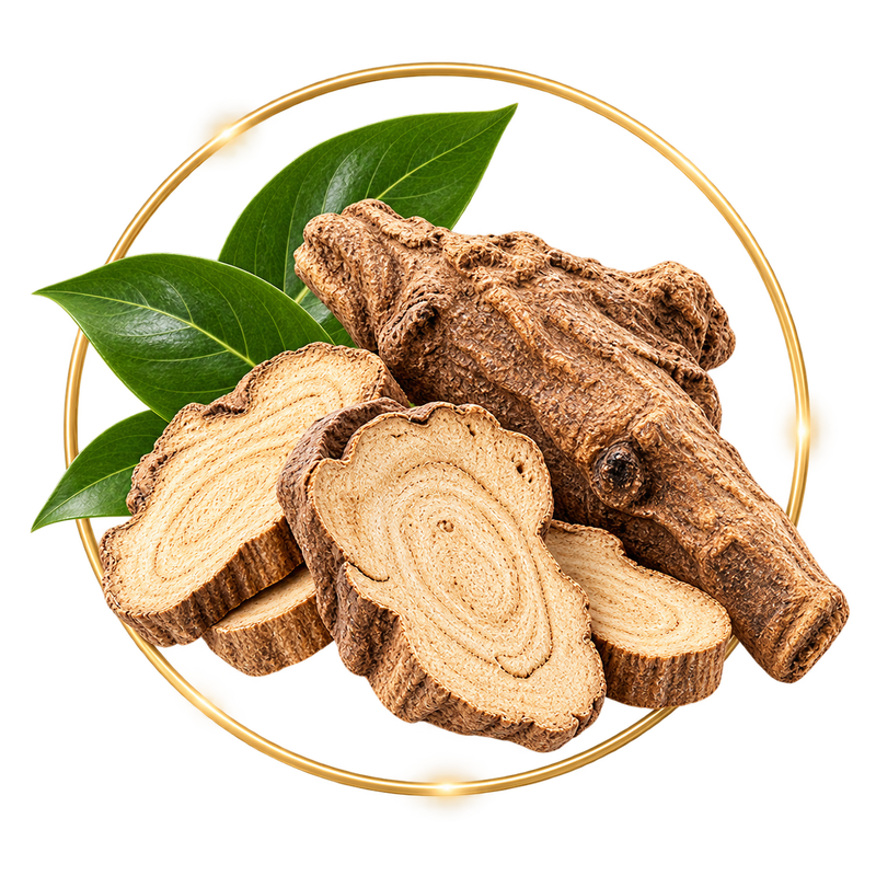 Costus Root