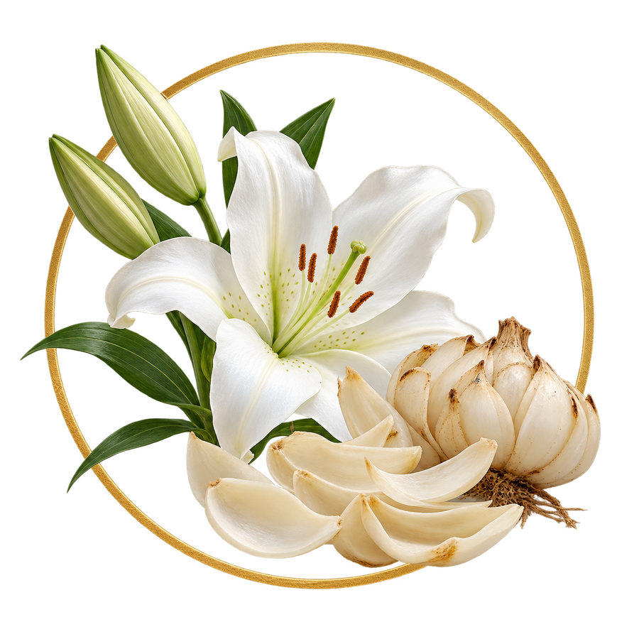 Lily