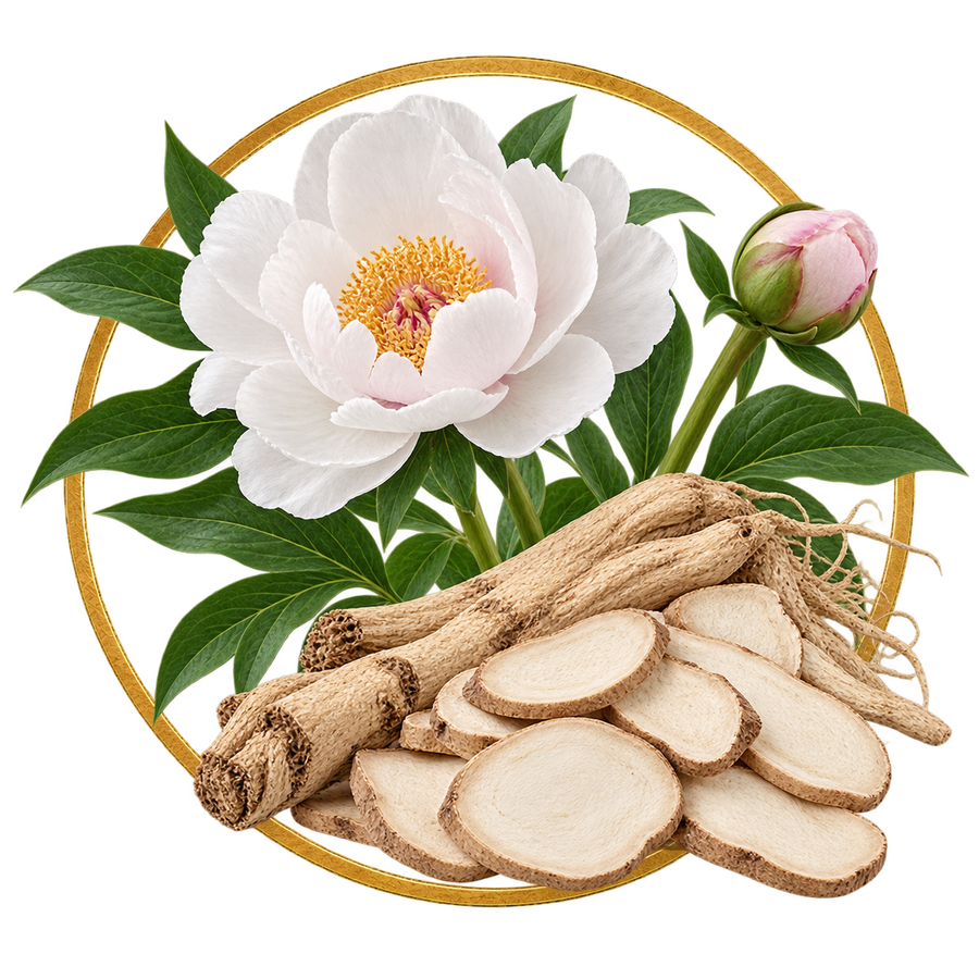 White Peony Root
