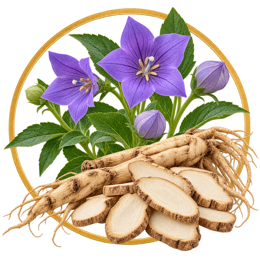 Platycodon Root