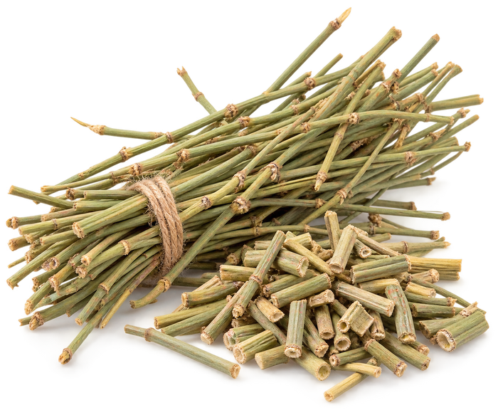 Chinese Ephedra