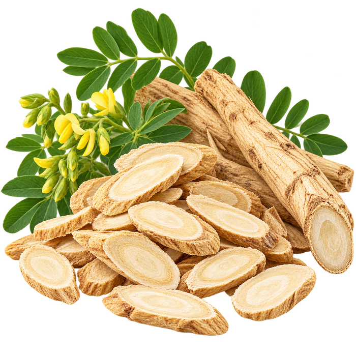 Astragalus Root