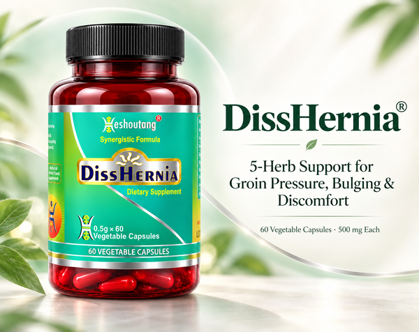 DissHernia®