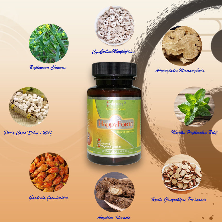 HappyForte|Proven Herbal Solution for Energy, Mood, and Digestion|Herbal Energy Flow Optimizer|360 Vagetable Capsules Premium Saver Pack