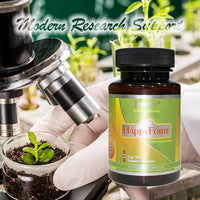 HappyForte|Proven Herbal Solution for Energy, Mood, and Digestion|Herbal Energy Flow Optimizer|360 Vagetable Capsules Premium Saver Pack