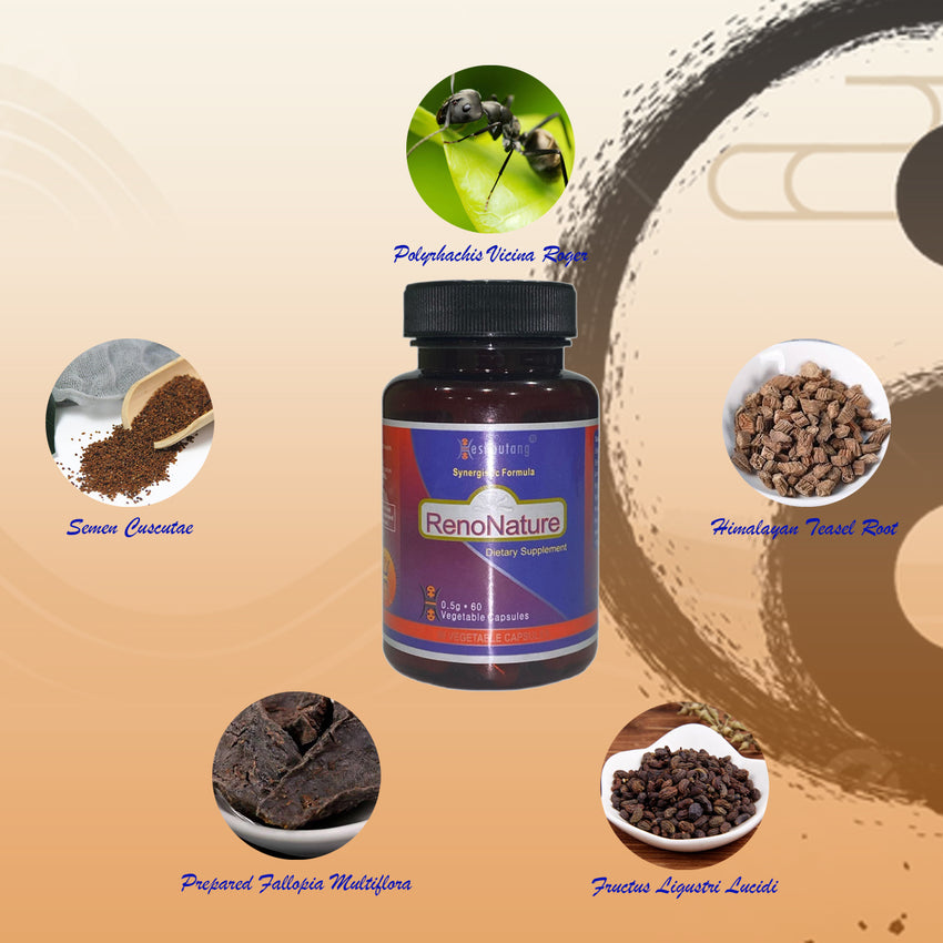 RenoNature|Market Proven Herbal Kidney System Optimizer|For Lower Back Weakness|Gentlemen's Energy Booster|60 Veg Capsules Starter Pack