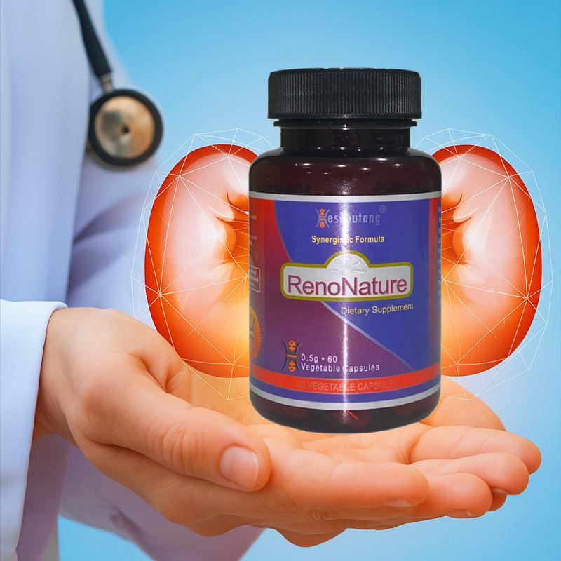 RenoNature|Market Proven Herbal Kidney System Optimizer|For Lower Back Weakness|Gentlemen's Energy Booster|60 Veg Capsules Starter Pack