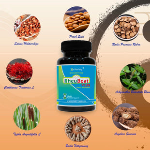 RheuBeatPlus – Market-Proven Herbal Blood Flow Optimizer|Support Circulation, Relieve Pain, and Boost Cardiovascular Health Naturally|360 Vagetable Capsules Premium Saver Pack