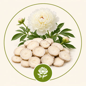 White Peony Root