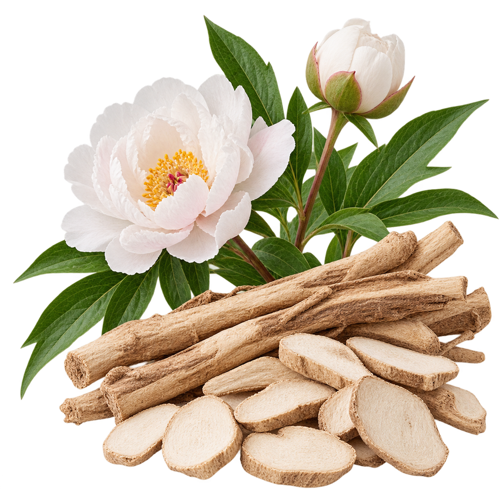White Peony Root