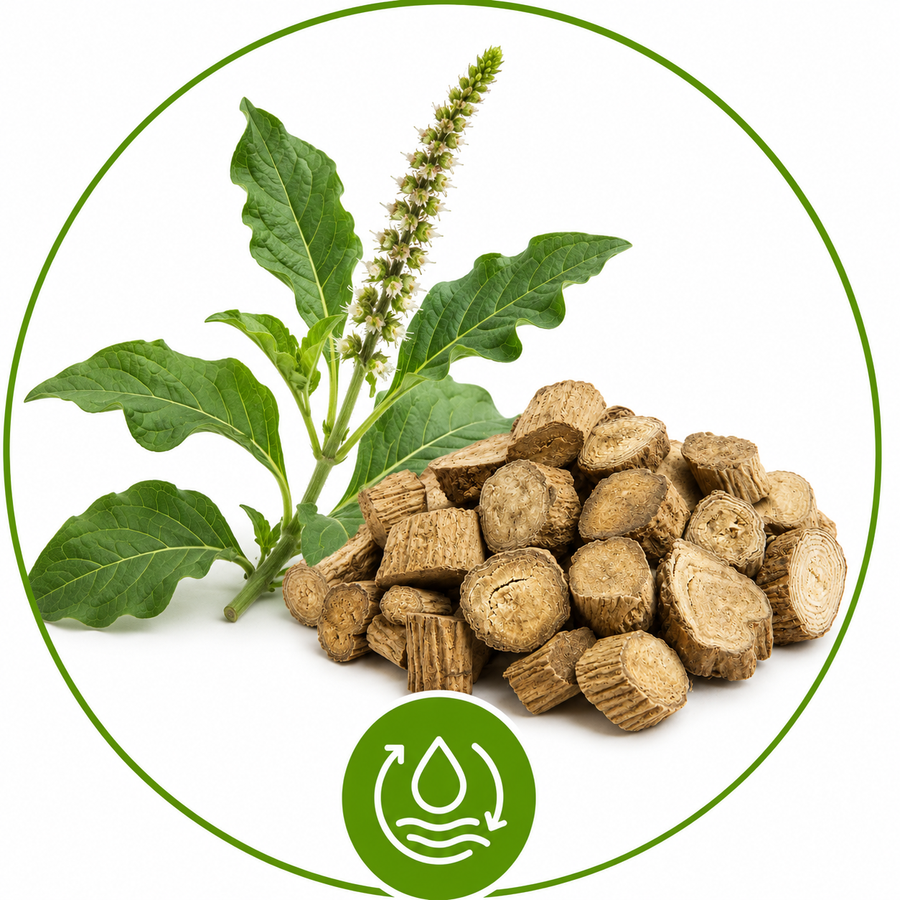 Achyranthes Root