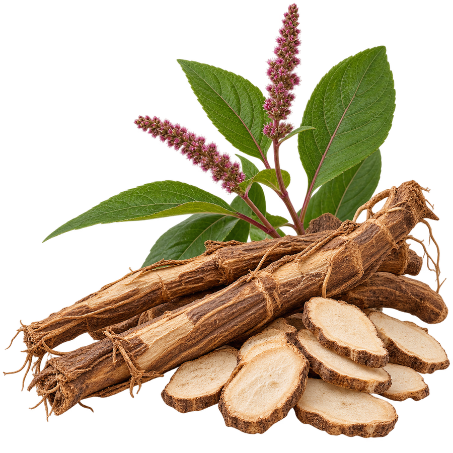 Cyathula Root