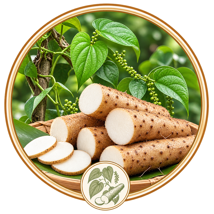 Chinese Yam
