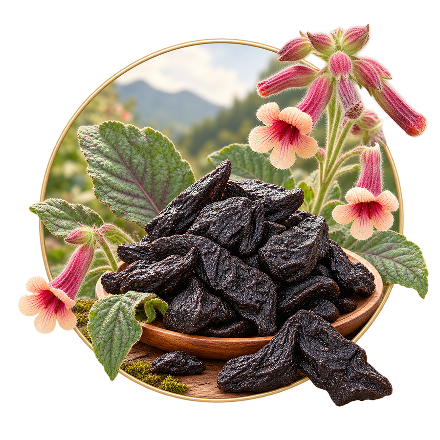Prepared Rehmannia Root
