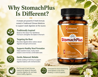 StomachPlus®