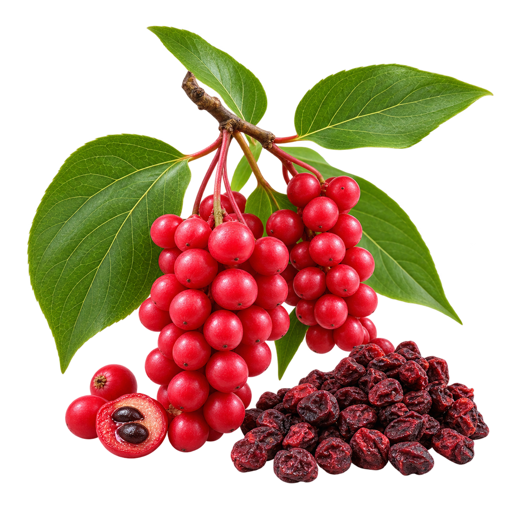 Schisandra Chinensis