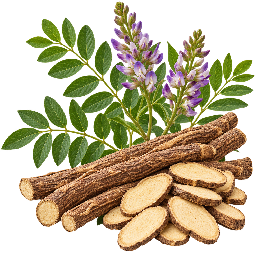 Prepared Licorice Root