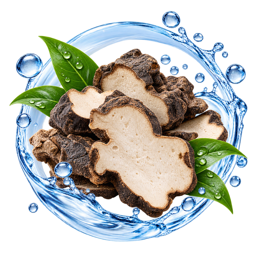 Polyporus