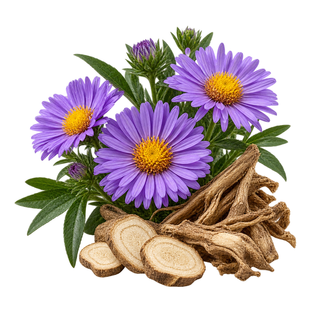 Aster